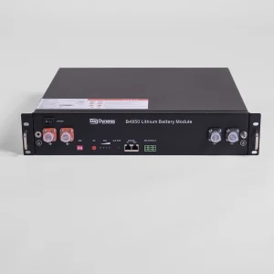 Dyness Lithium Ion B4850 2,4kWh