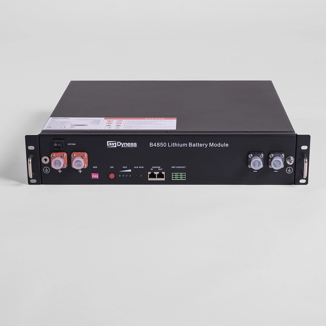Dyness Lithium Ion B4850 2,4kWh